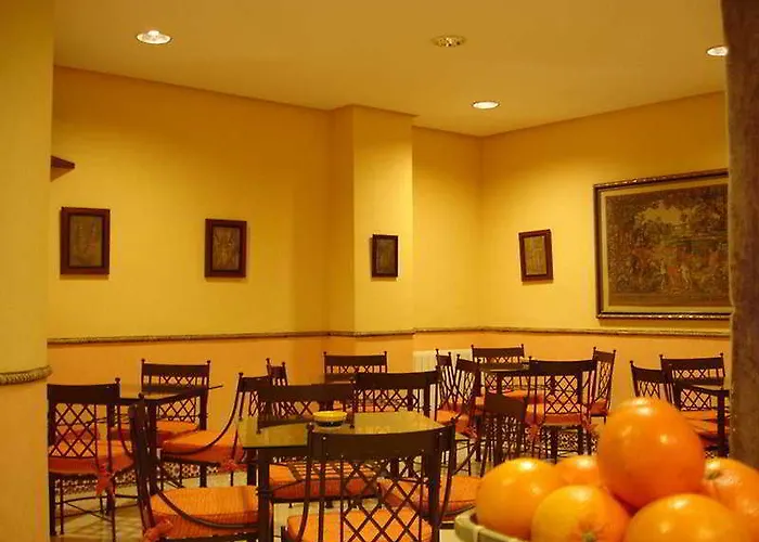 酒店 索尔酒店 托萊多